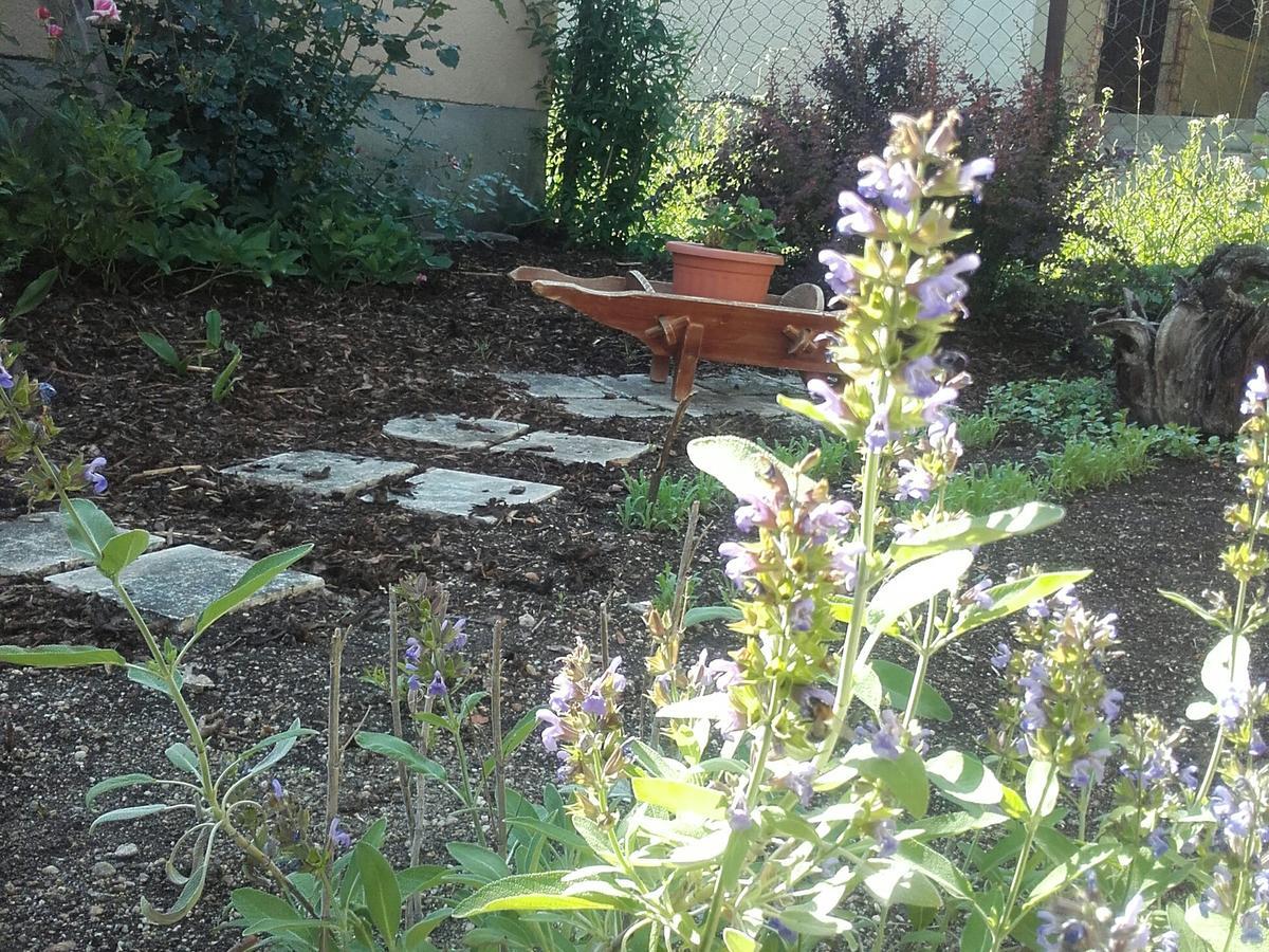Menta Apartman Mezőkövesd Εξωτερικό φωτογραφία